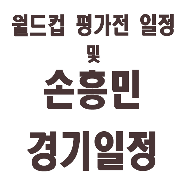 한국 축구국가대표 손흥민 경기일정 월드컵이다