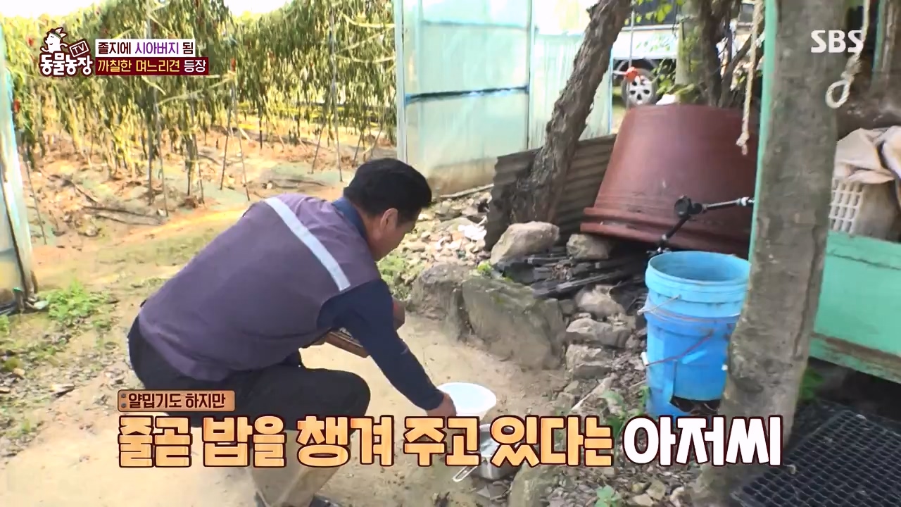 TV 동물농장.E1146.231120p-NEXT.mp4_20231119_175301.658.jpg