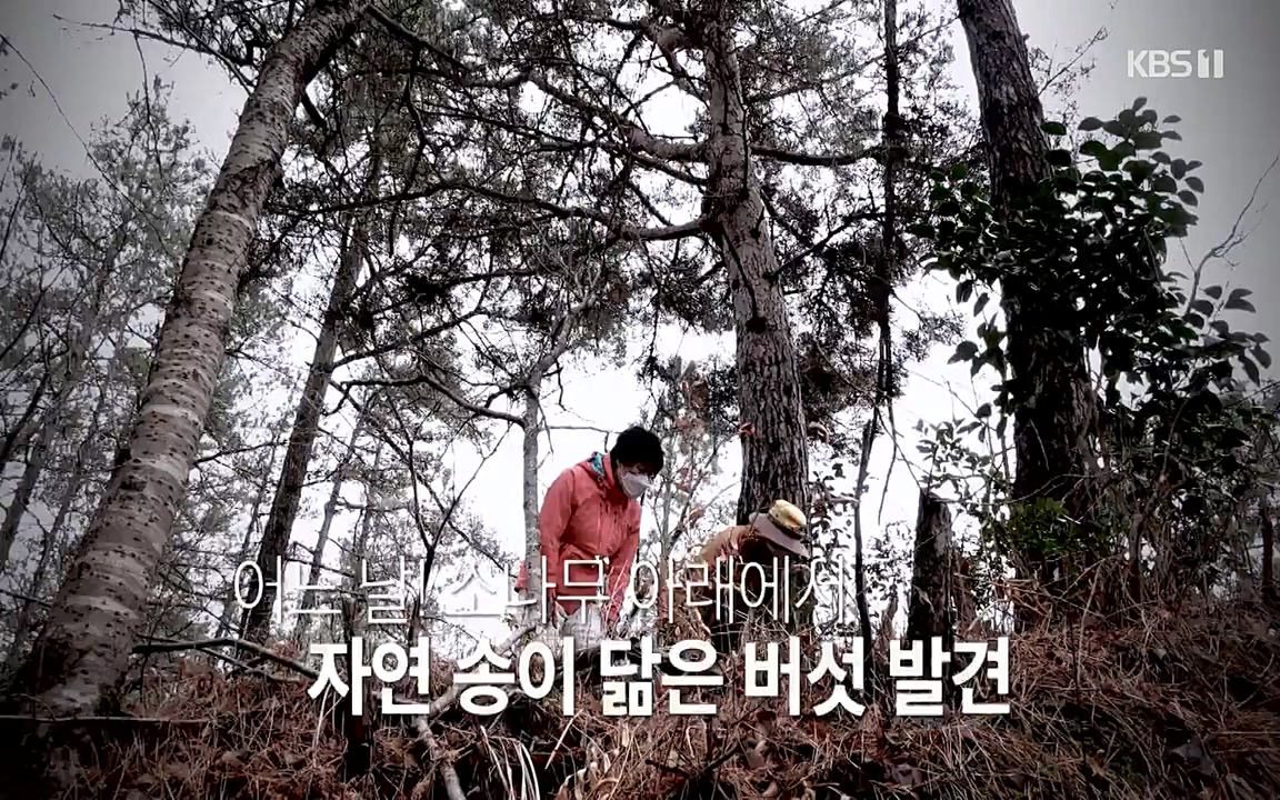 생로병사의 비밀.E819.220421p-NEXT.mp4_20220421_194716.335.jpg