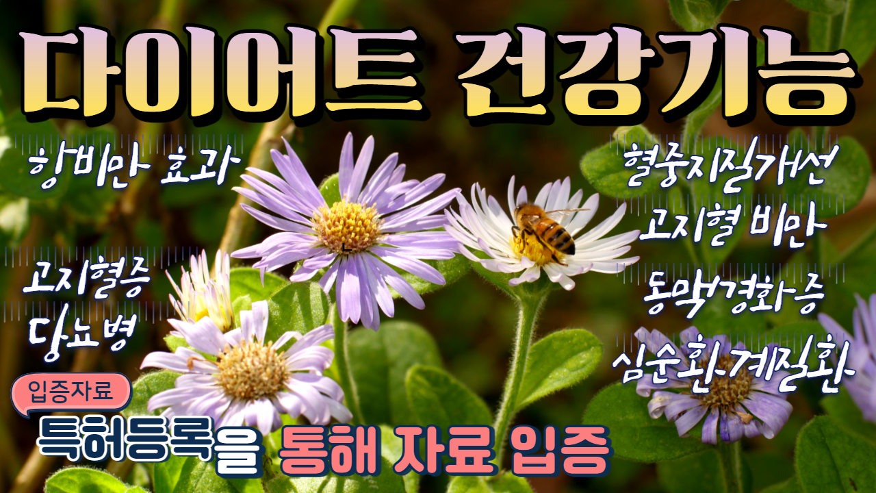  바다의 국화 해국의 효능