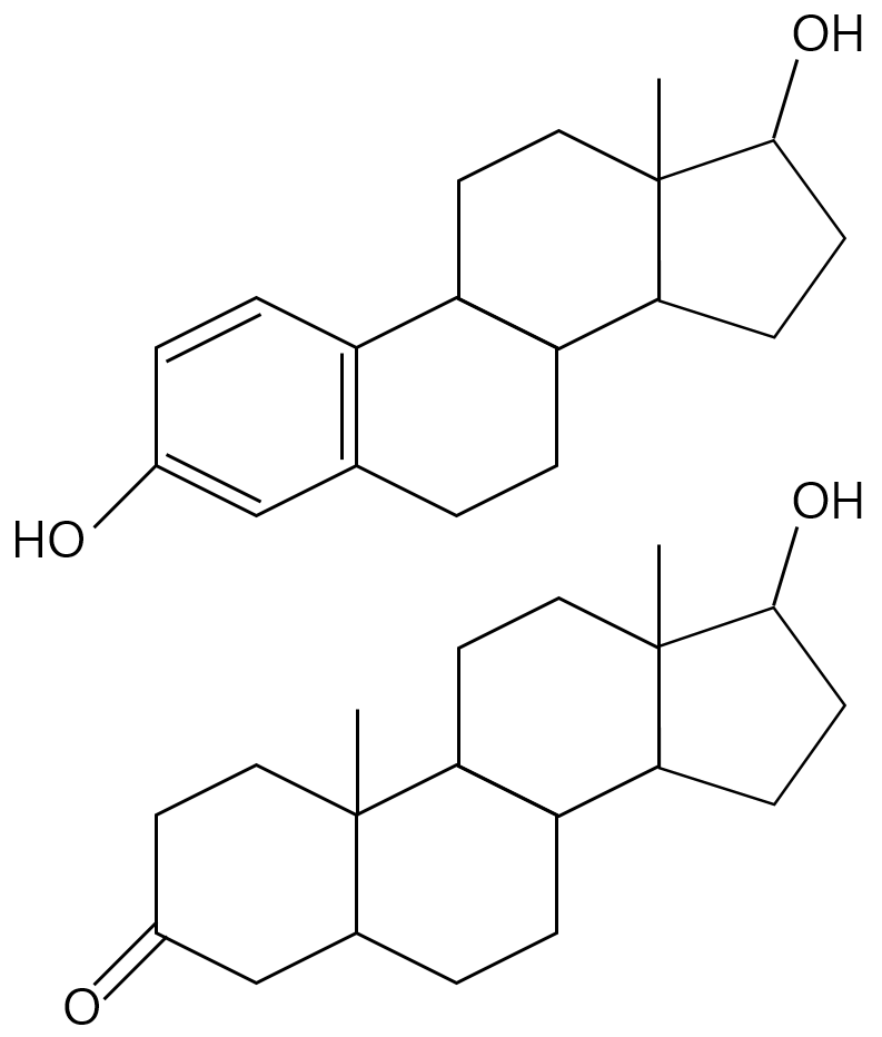 성호르몬 에스트로겐과 테스토스테론 구조
