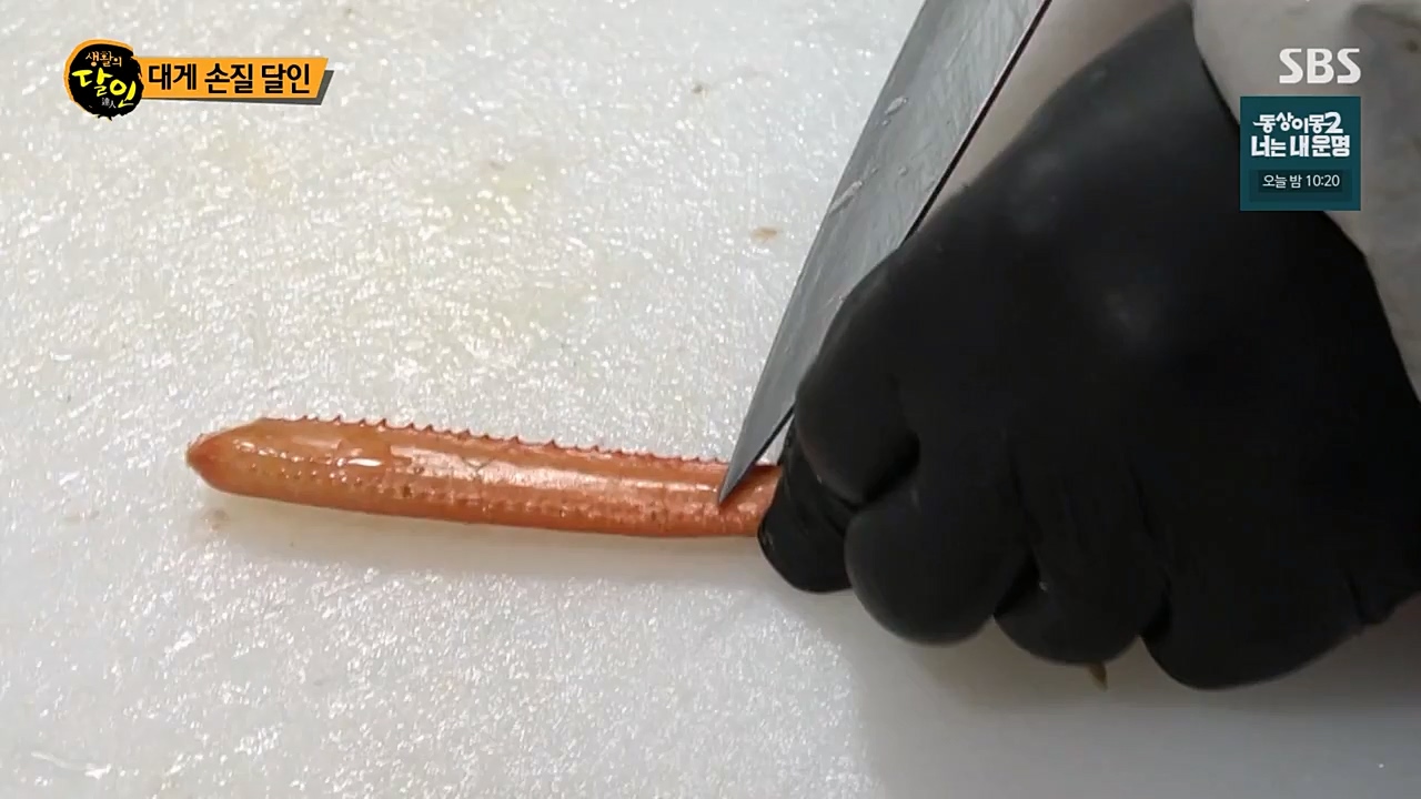 생활의 달인.E877.230221p-NEXT.mp4_20230222_194354.505.jpg