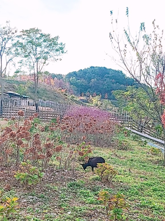 #부산 아이와가 볼만한 바다 운대수목원 8
