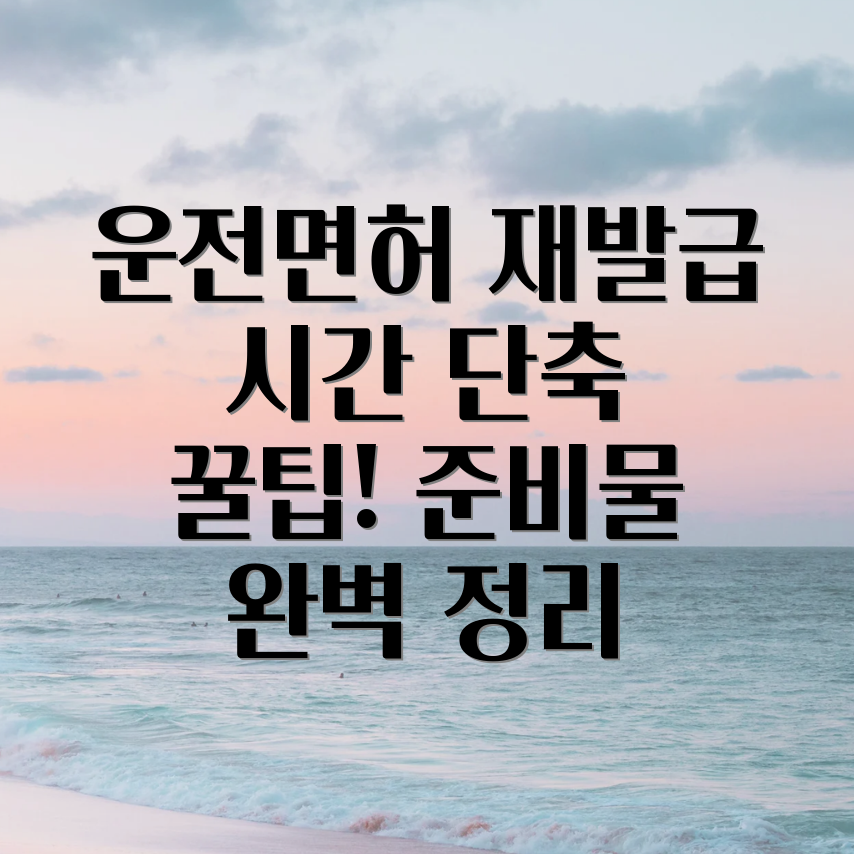 운전면허증 재발급