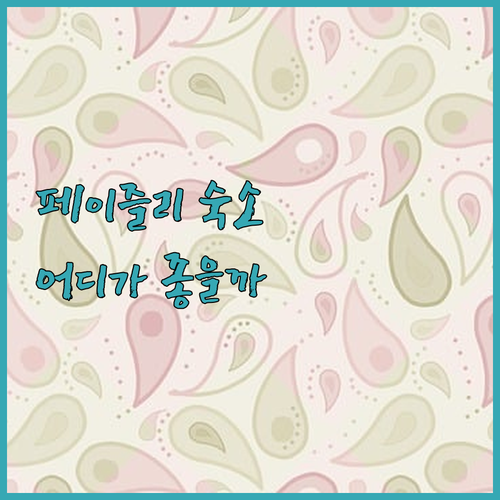 페이즐리 숙소 추천 마이 모텔 vs 