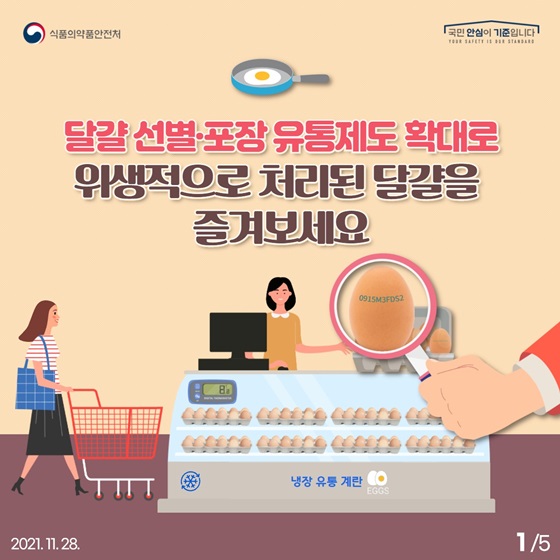 안전하고 위생적인 달걀 확인 방법!