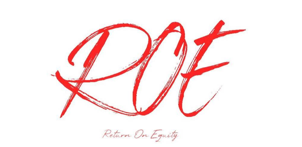  ROE[자기자본이익률]