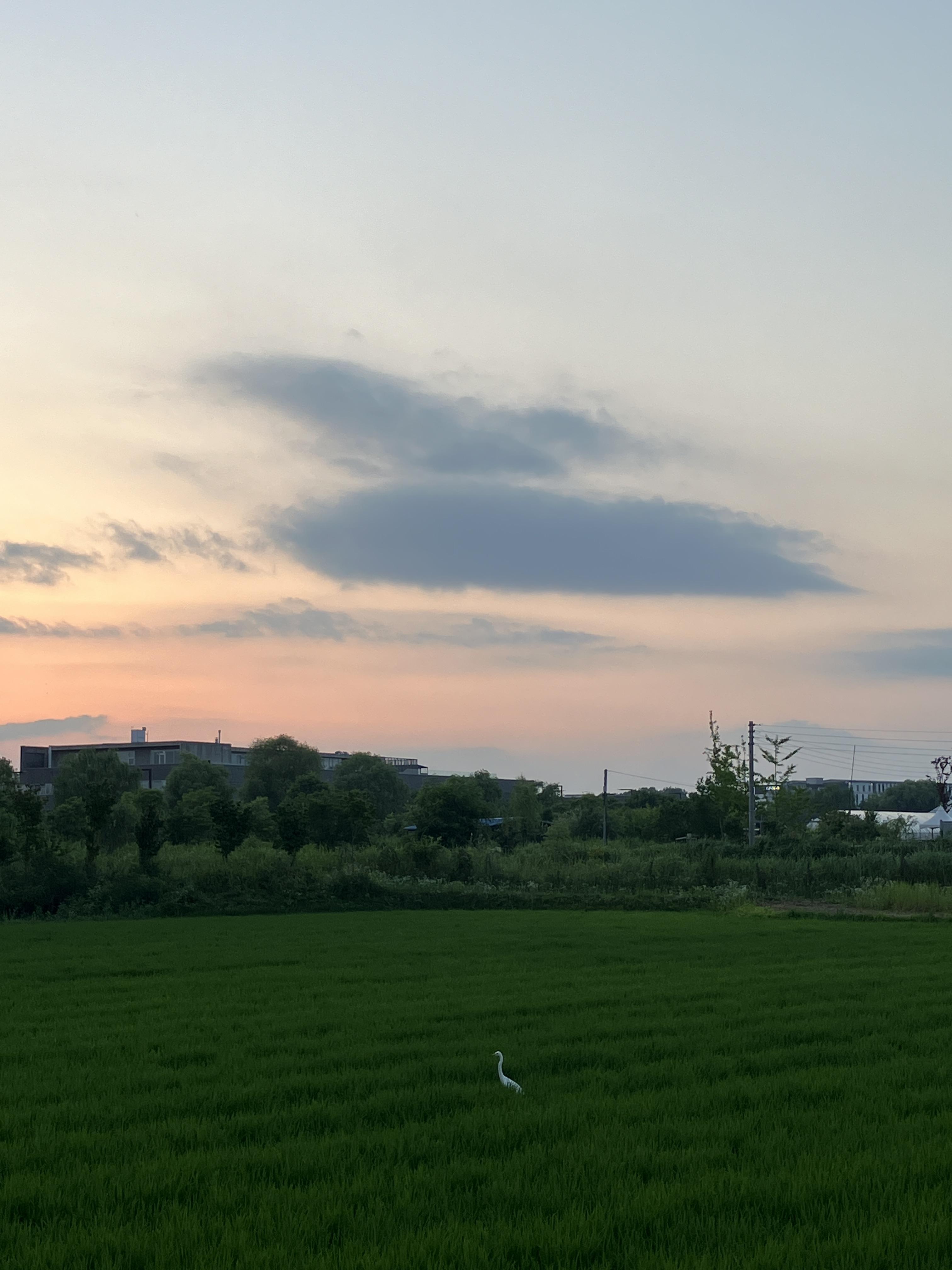 서쪽 이미지