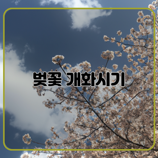 벚꽃-만발-봄의-아름다움