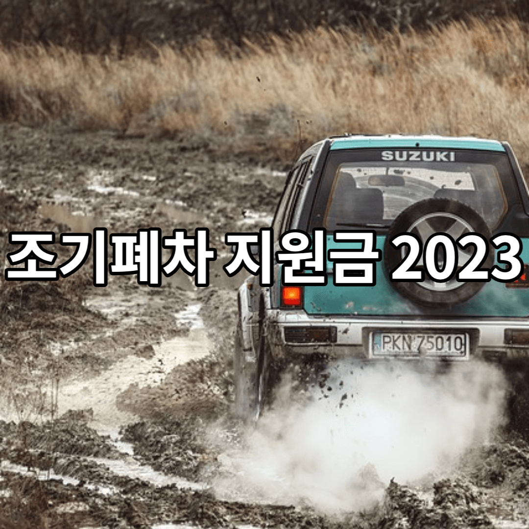 조기 폐기 - 보조금