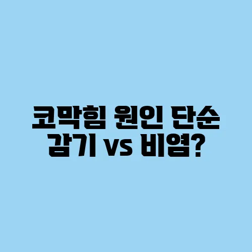 코막힘 원인 단순 감기 vs 비염?