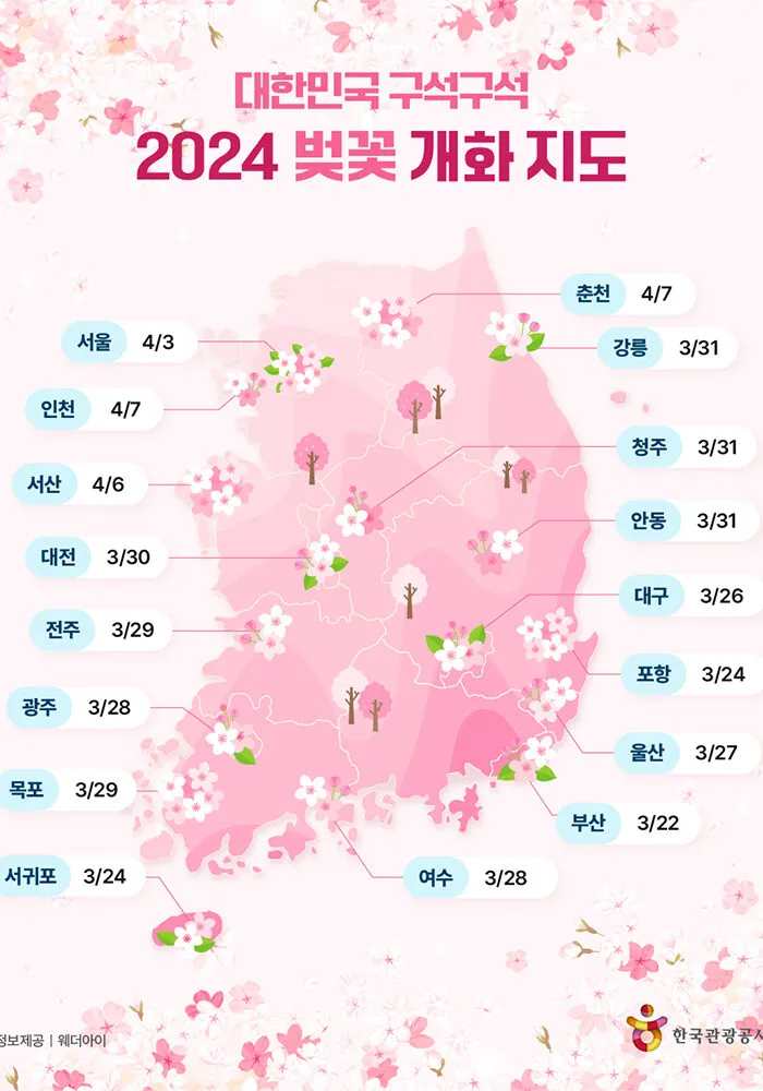 벚꽃 개화시기 2025년 지역별 모음_3