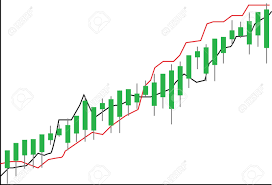 1000만원 투자 현명한 선택