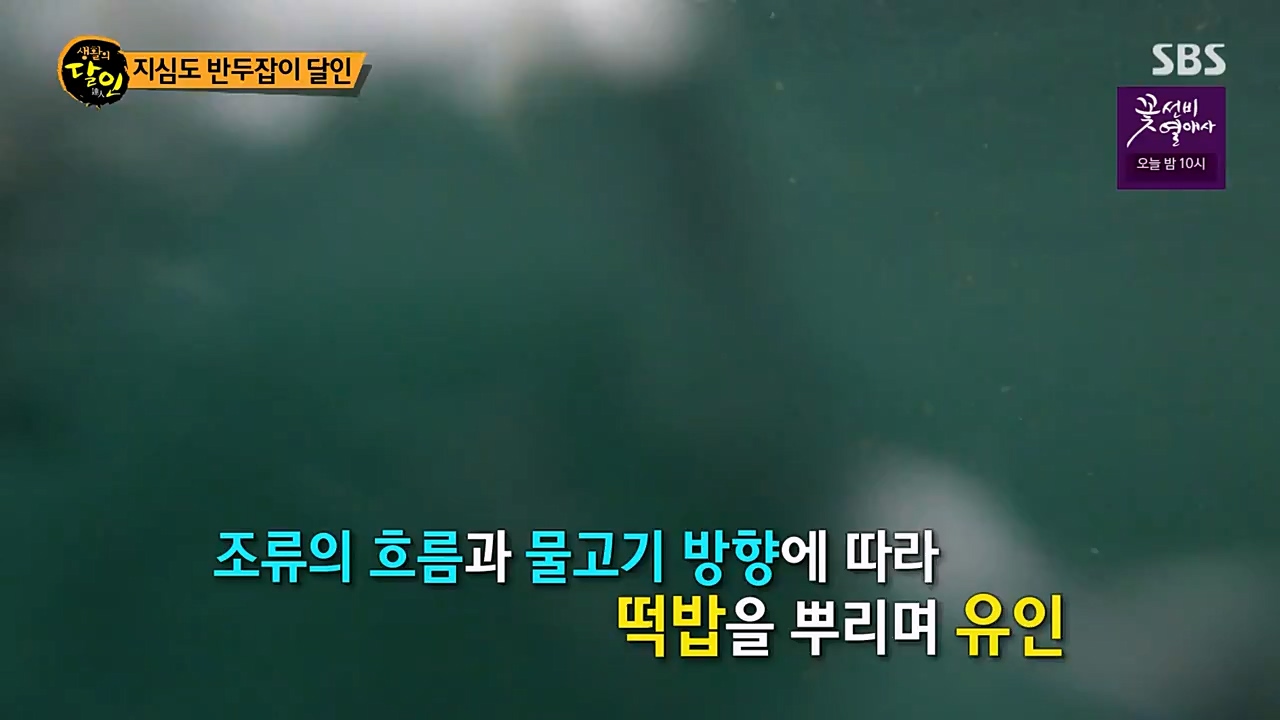 생활의 달인.E881.230328p-NEXT.mp4_20230328_201114.025.jpg