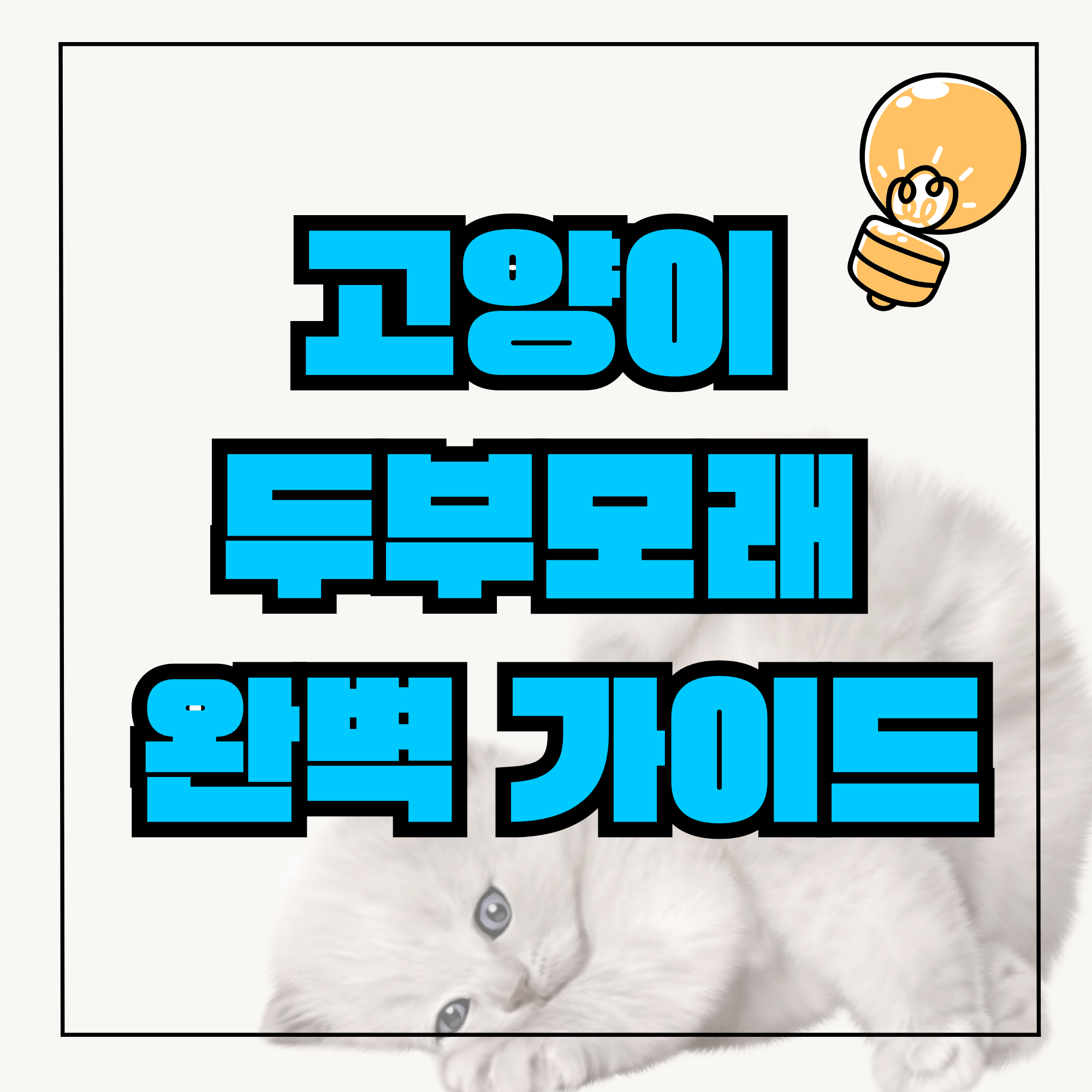 고양이모래 고양이 두부모래 추천