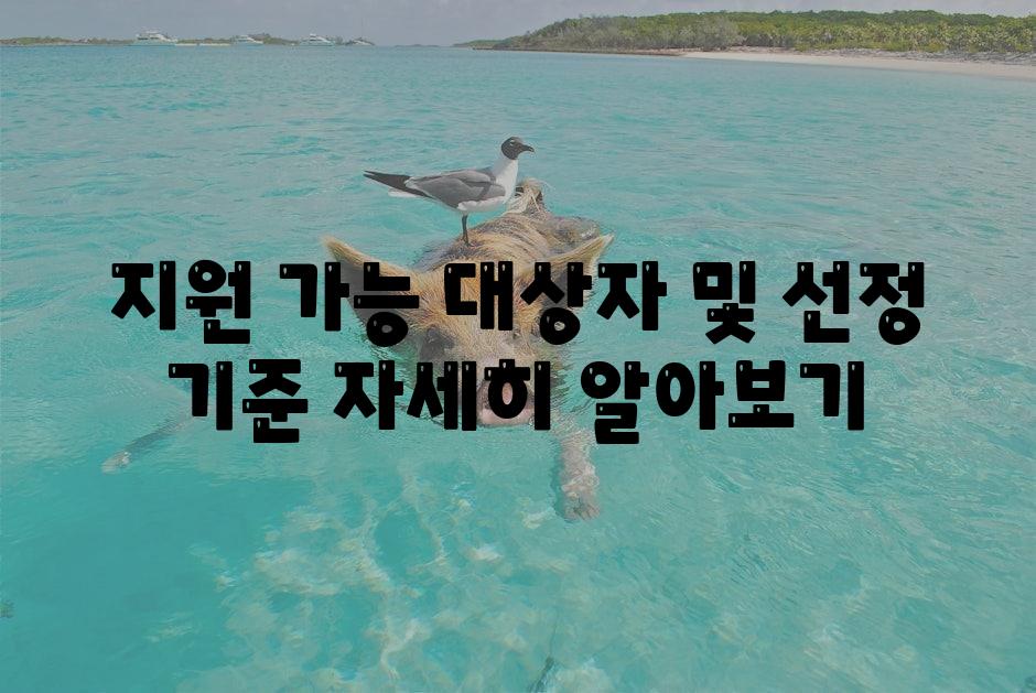 지원 가능 대상자 및 선정 기준 자세히 알아보기