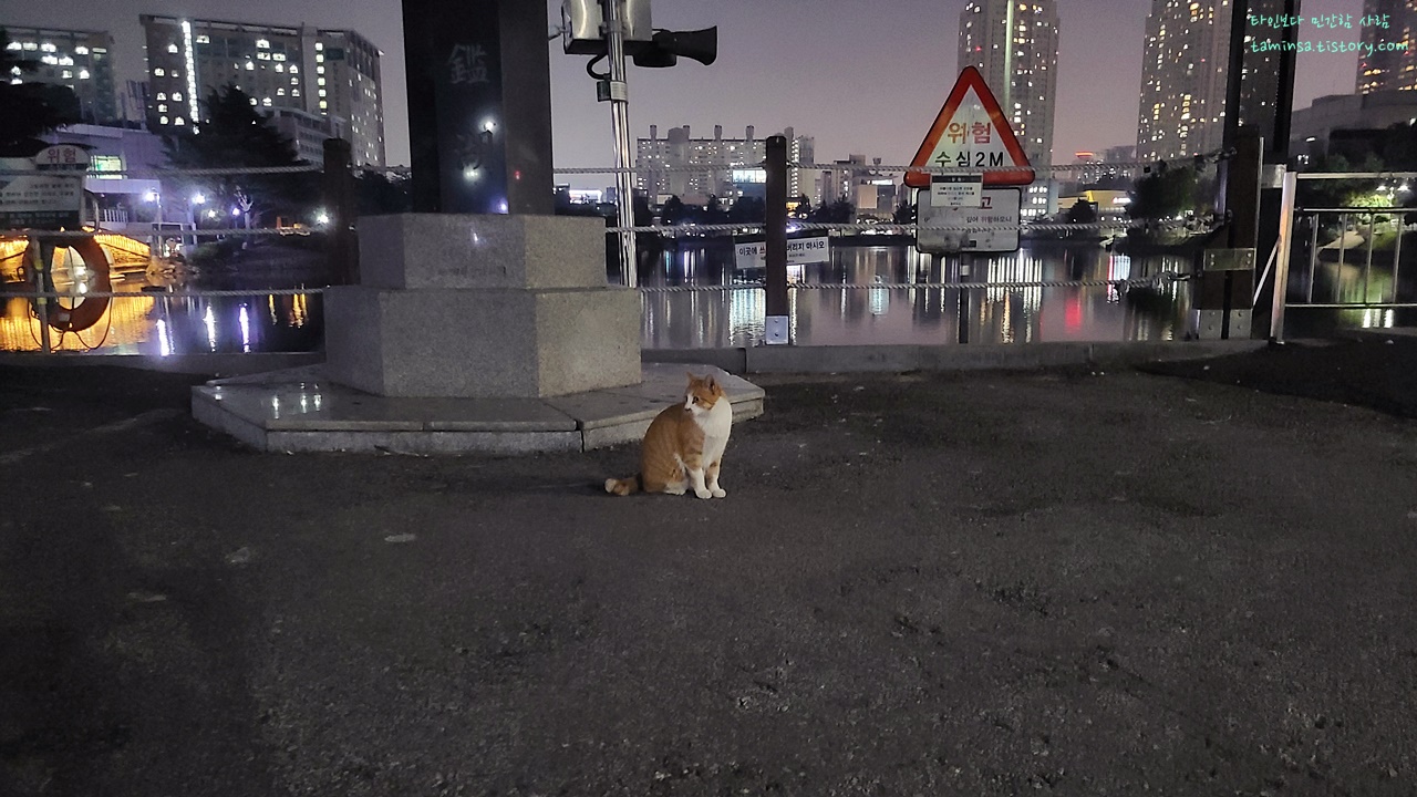 가을여행_건국대학교