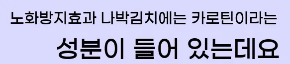  2.노화방지효과 나박김치에는 카로틴이라는 성분이 들어 있는데요.