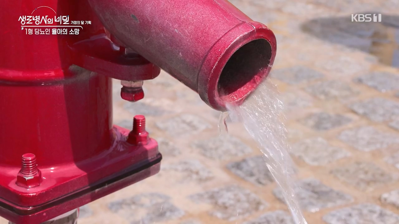생로병사의 비밀.E911.240516p-NEXT.mp4_20240516_201438.753.jpg
