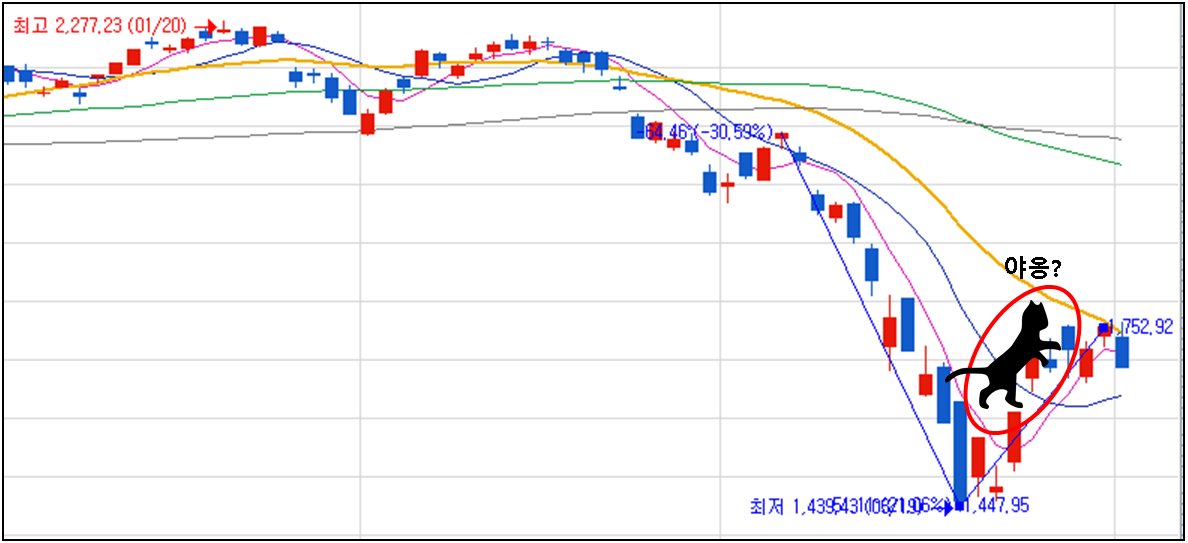 데드 캣 바운스란? (Dead cat bounce) 데드 캣 바운스란? (Dead Cat Bounce)