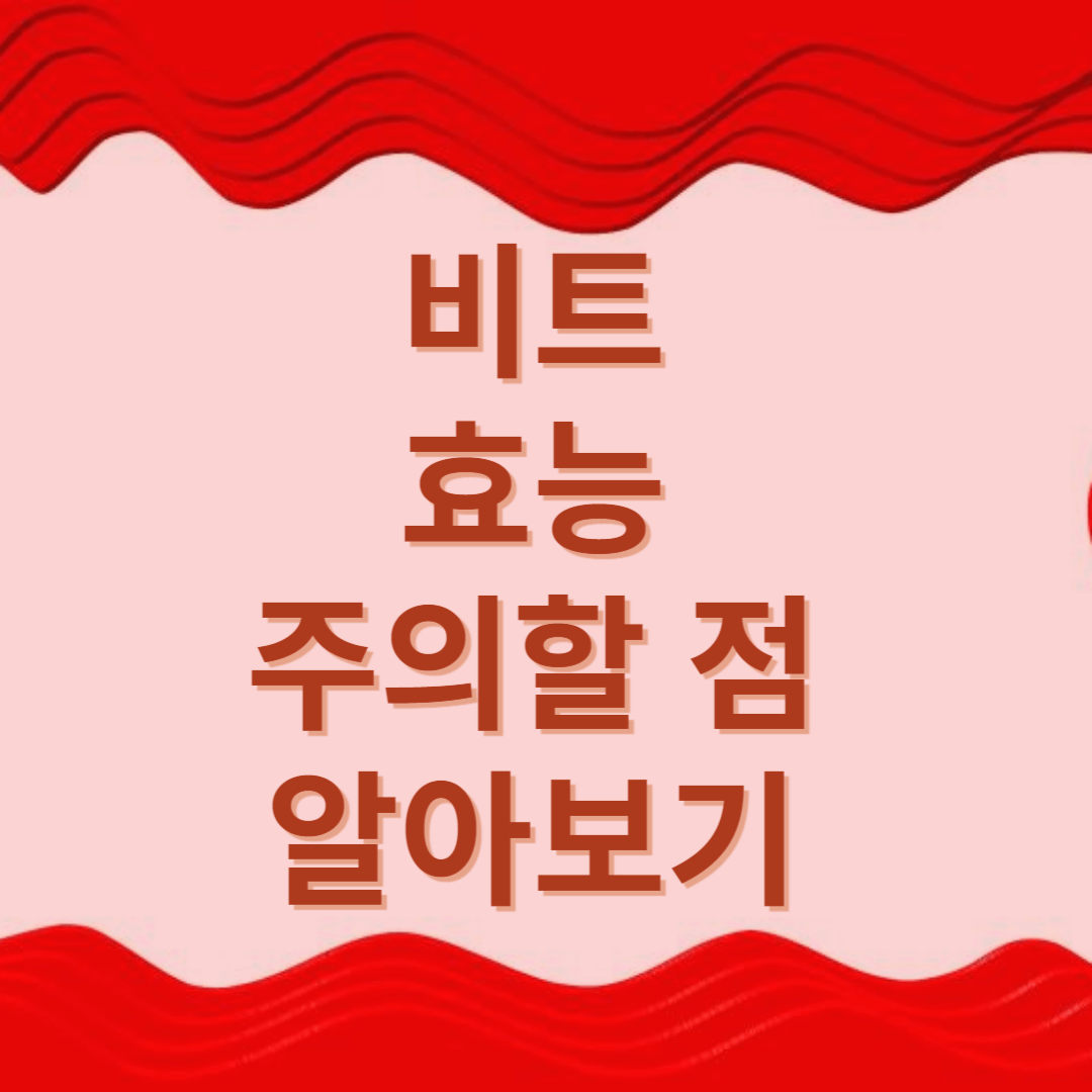 비트-효능-주의할-점