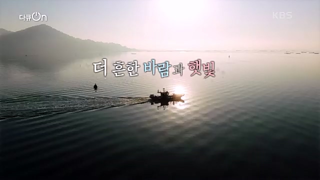[190회] 다큐온 - KBS지역의 부활 1부 - 햇빛, 평생 연금을 주다] 지방 소멸이 가속화되고 있는 지금 한 지자체에서 실시.ts_20230328_203919.933.jpg