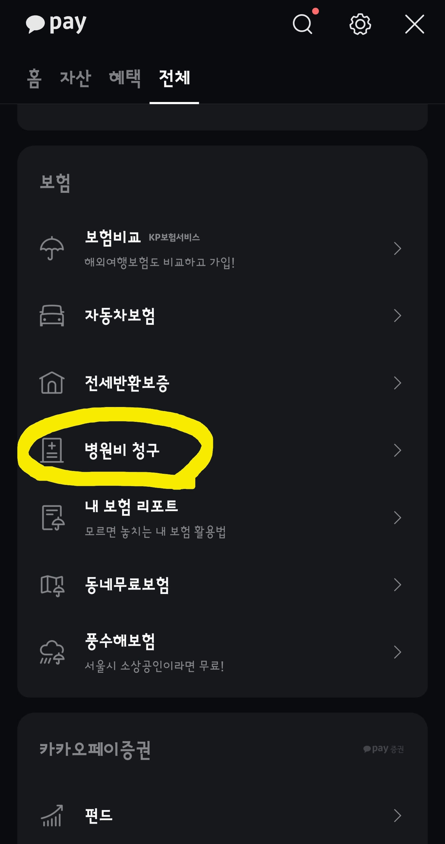카카오페이 실비 청구 2