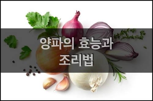  양파의 효능과 조리법