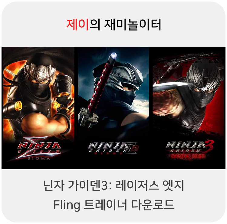  닌자 가이덴3 레이저스 엣지(마스터 콜렉션) 트레이너 +10 Fling [v1.0+] 다운로드