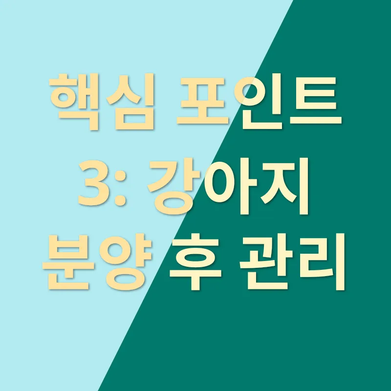 강아지 분양_3