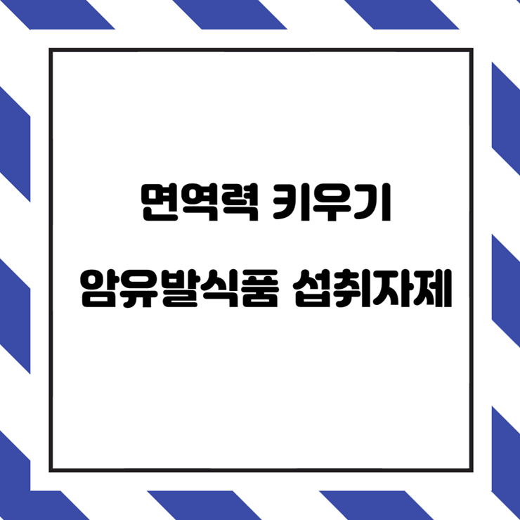  암 예방하는 면역력 키우기