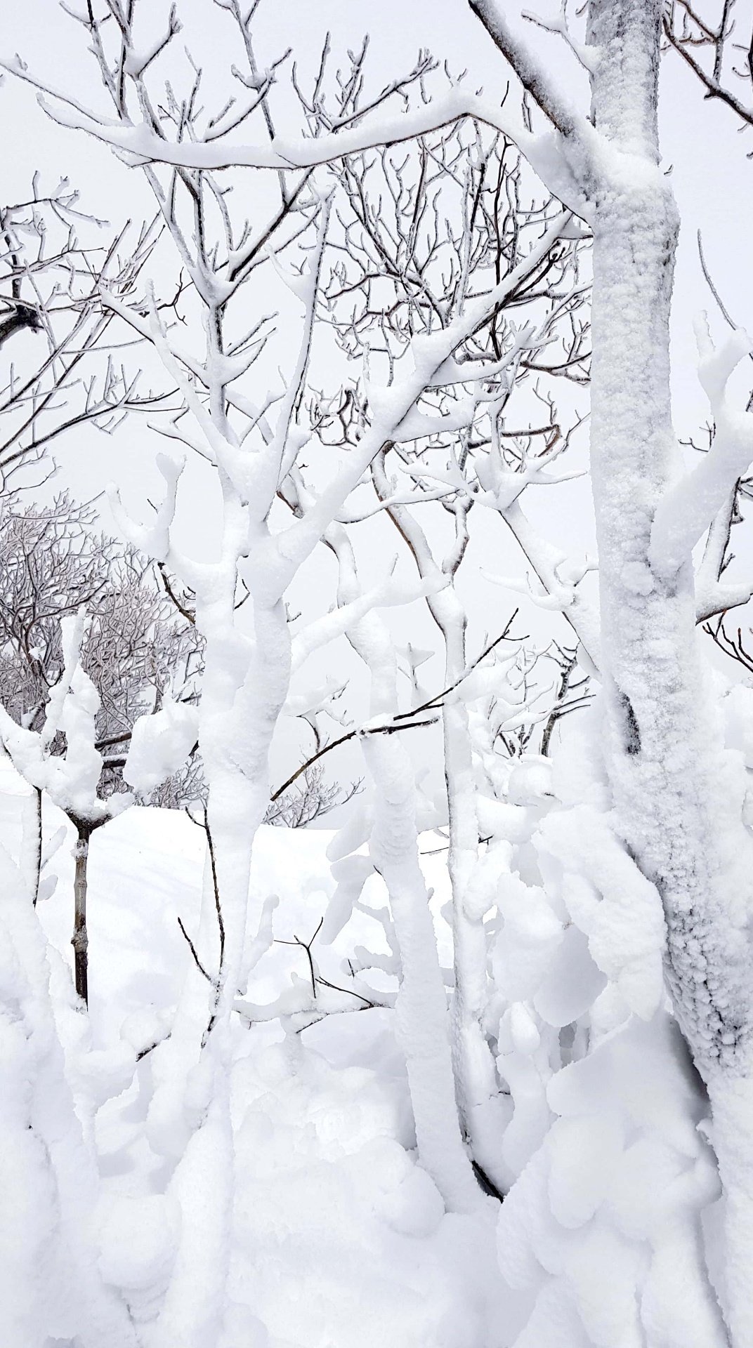 울산 가지산 설경