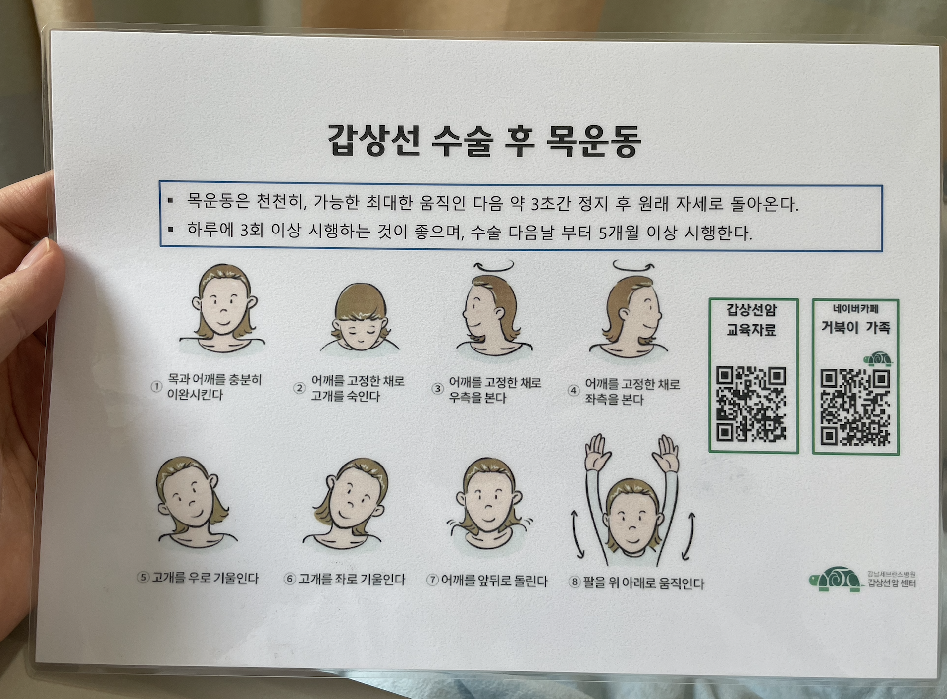 갑상선/갑상선수술/갑상선수술후목운동