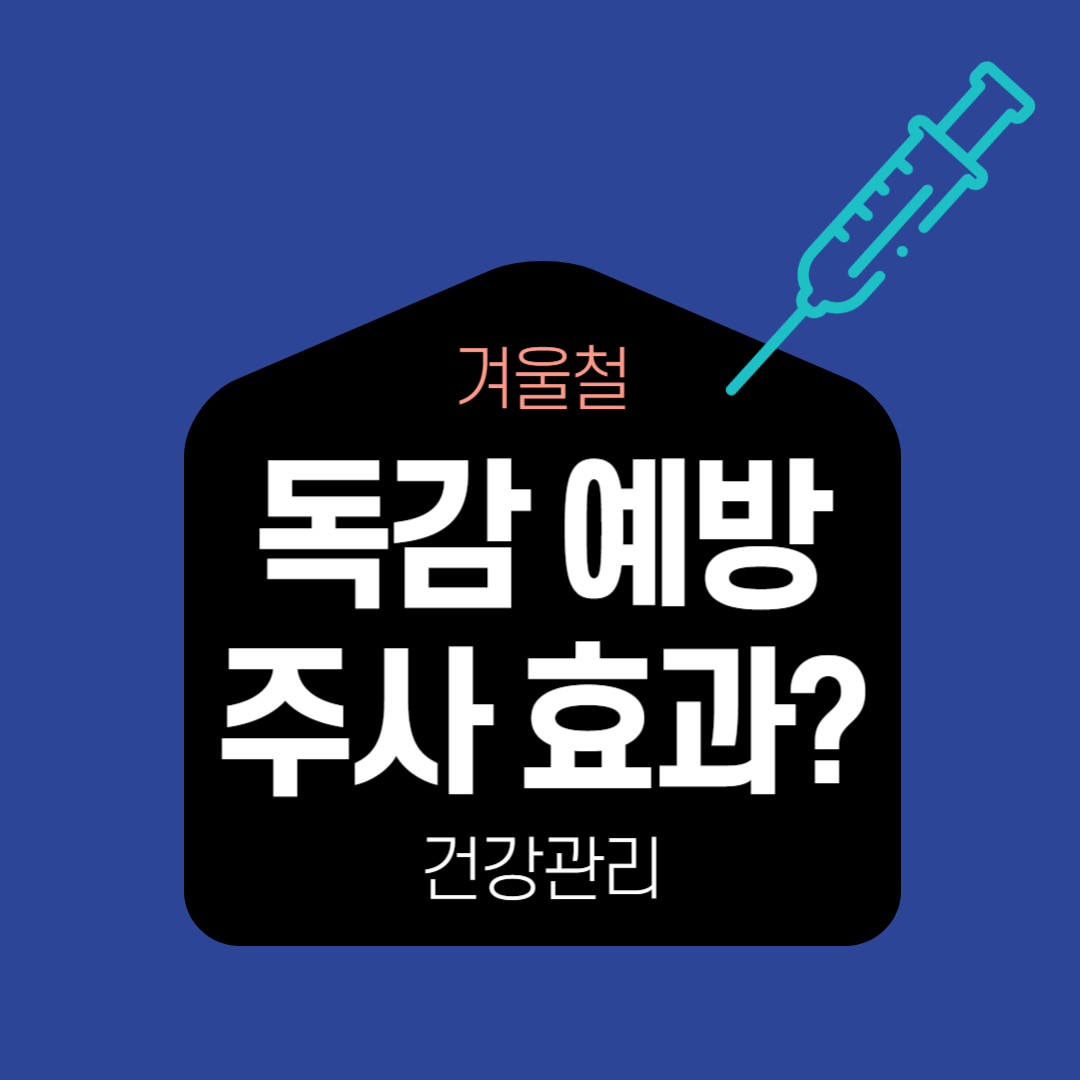 독감예방주사효과