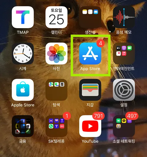 iPhone 앱 업데이트 설정: 원할 때마다 수동으로 변경 및 업데이트