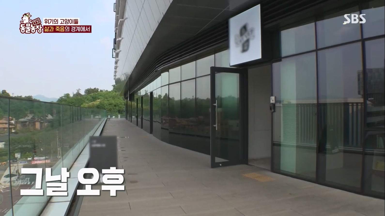 TV 동물농장.E1127.230702p.H264-F1RST.mp4_20230704_212716.388.jpg