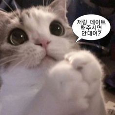 합정 이미지