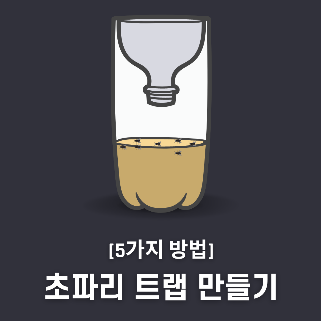 초파리 트랩 만들기