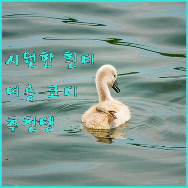 화이트 티셔츠 추천! 여름철 시원한 