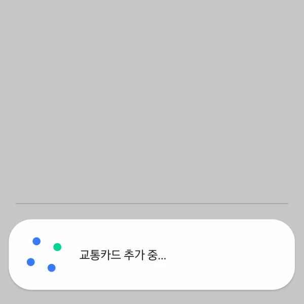 Wallet-교통카드-추가
