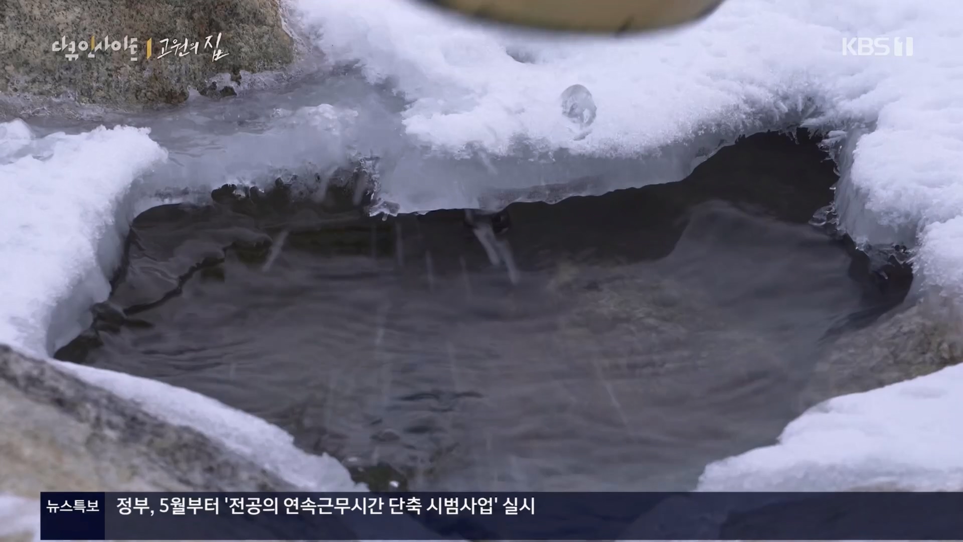 다큐 인사이트.E176.240328p.H264-F1RST.mp4_20240330_162903.199.jpg