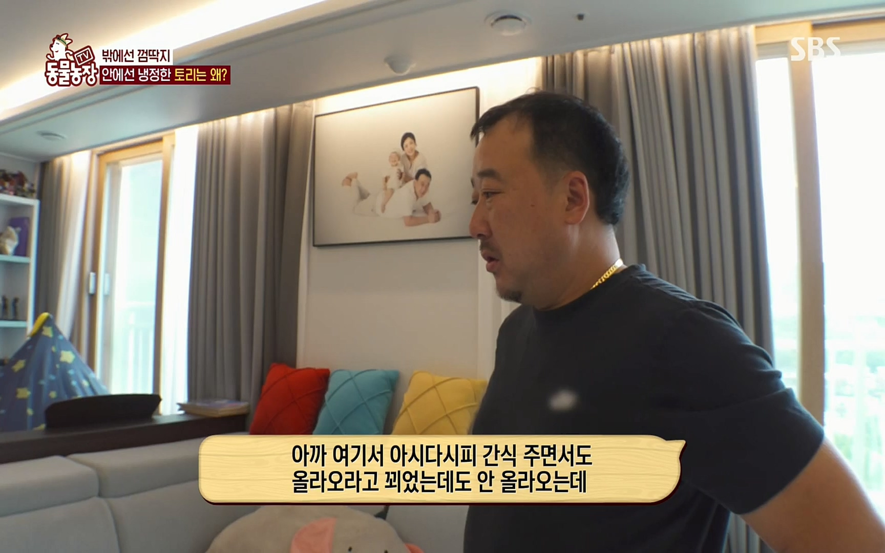 TV 동물농장.E1072.220605p.H264-F1RST.mp4_20220605_181422.540.jpg