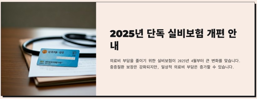 2025 - 단독 실비보험