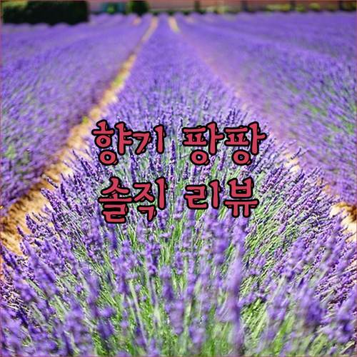 ✨ 내 차안에 향기가 팡팡! 무선 아