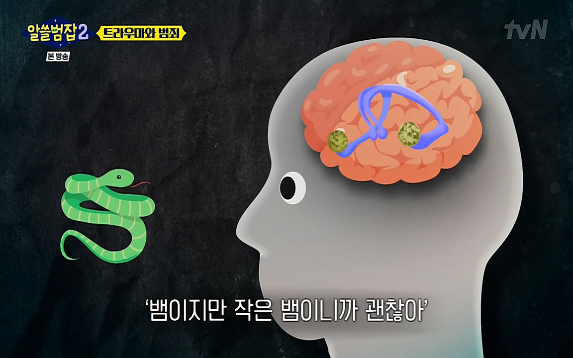 알쓸범잡 2.E11.220321p-NEXT.mp4_20220321_181812.674.jpg