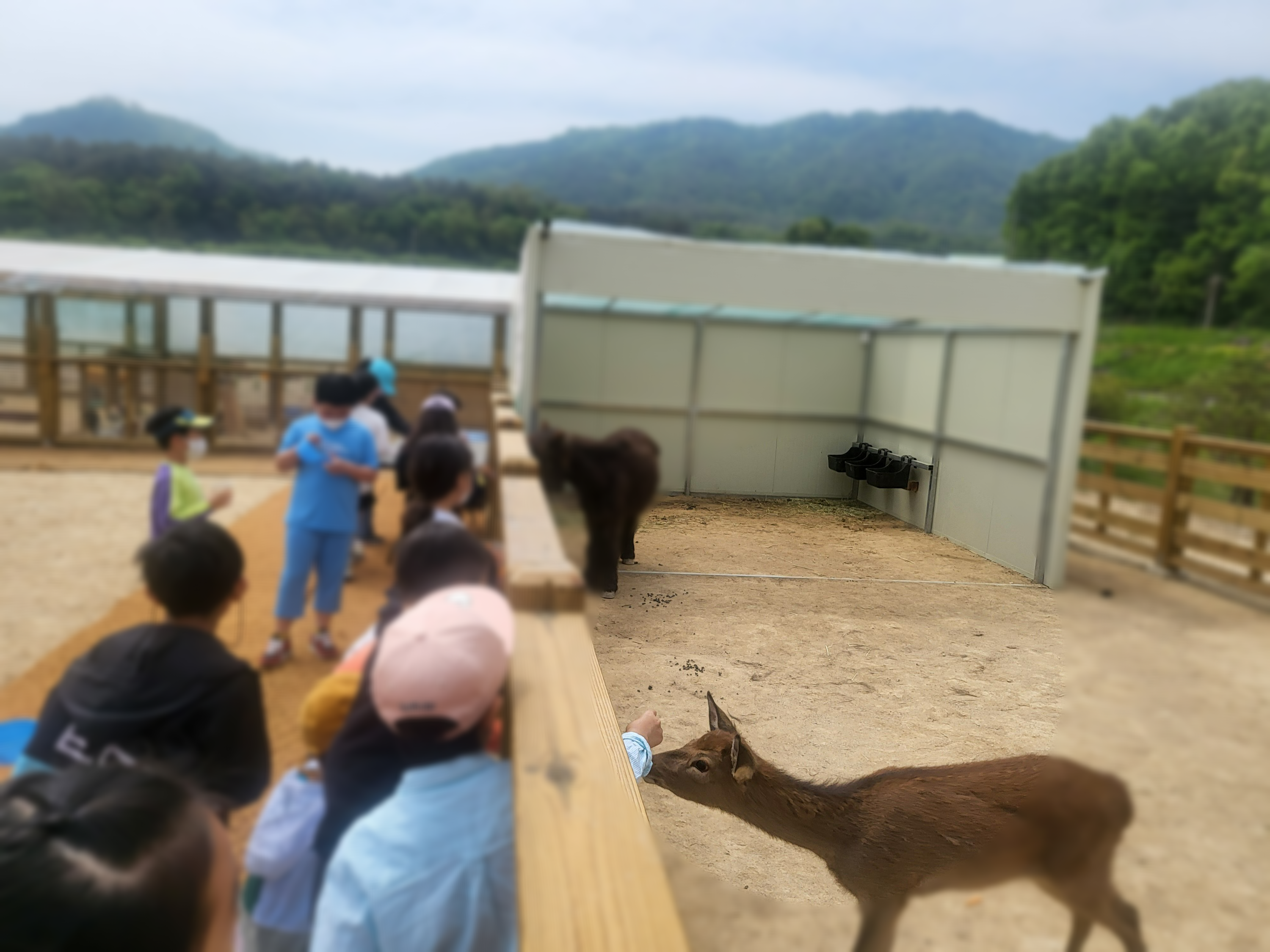 이천돼지 이미지