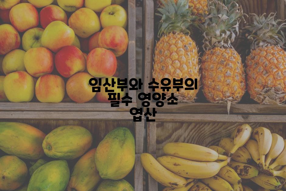 임산부와 수유부의 필수 영양소 엽산