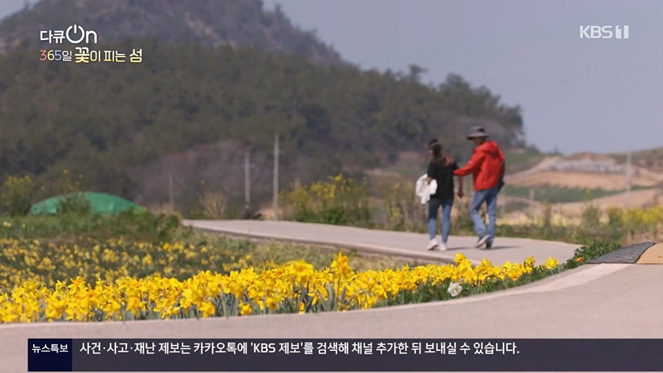 다큐 On.E201.230610p.H264-F1RST.mp4_20230611_165933.787.jpg