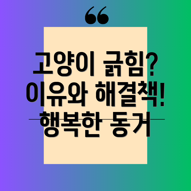 고양이 심한 긁힘