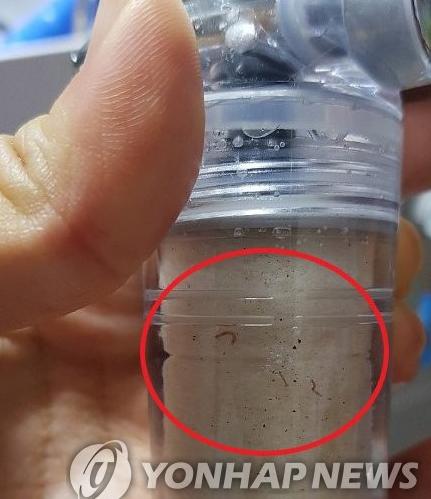  인천 수돗물 깔따구 유충은 4급수에서 서식한다.